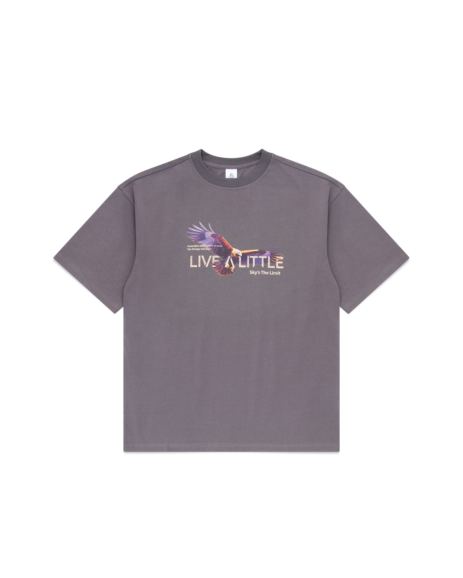 Sky's The Limit - Relaxed Organic Tee